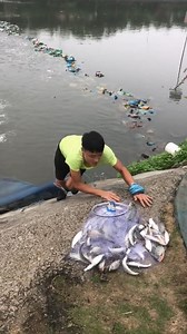 126K views · 1.4K reactions | Cast Net Fishing - Catching Fish with Cast Net Fishing  | Daily Discovery | Facebook