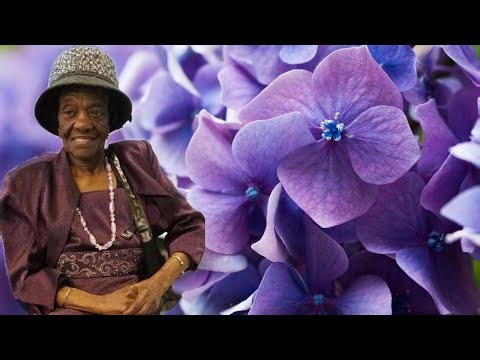 Catherine Cashie Daley Funeral Service