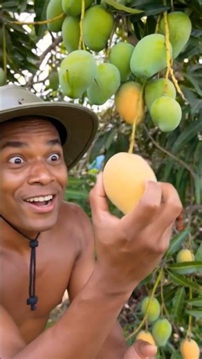 mango dance #wevideo #fruit #funny #bbgshow #youtubeapp #farming #food #visualreel #myvideo #youtube