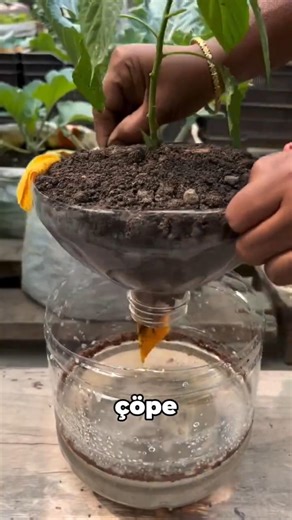 Plastik Şişeyi Çöpe Atma ( Bitki Yetiştir )