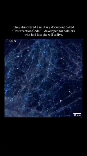 Winners | Transformation | 1️⃣ In 1987, a confidential military experiment was conducted: emotionally broken soldiers were exposed to a sequence of neural stimuli —... | Instagram