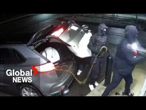 Vancouver Police arrest suspect in string of Pokémon card fraud thefts