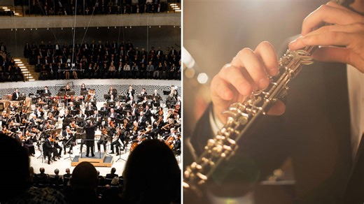 How do musicians actually win a job in an orchestra?