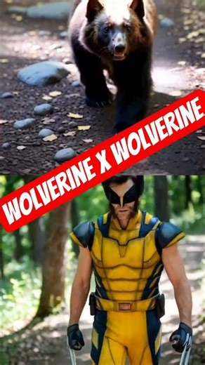 WOLVERINE VS WOLVERINE VS LYNX VS WOLF! 💥🐾🔥 #wild_pows #wildlife #wolverine #lynx #wolf