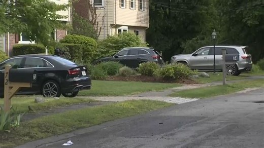 Lexington police investigating dozens of vehicle break-ins, several thefts