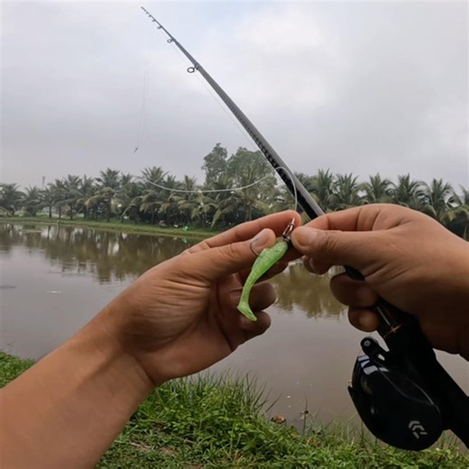 Soft lure with T-tail 6cm and jighead 9078 for snakehead fishing #fishing