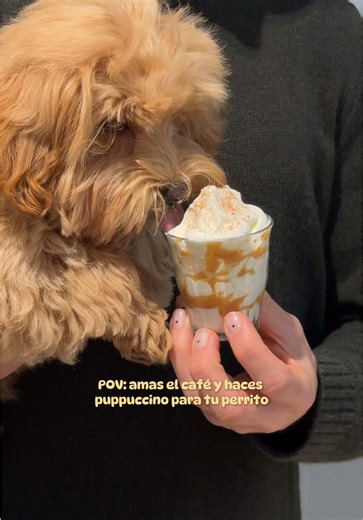 Receta de Puppuccino Fácil y Deliciosa