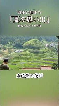 【青田の棚田】『夏の思い出』オカリナ演奏♪歌詞付き｜癒しの自然音