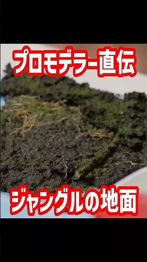 How to Create Realistic Ground [Passing Down Model Kit Secrets]: A Diorama Masterclass by Pro Mod...