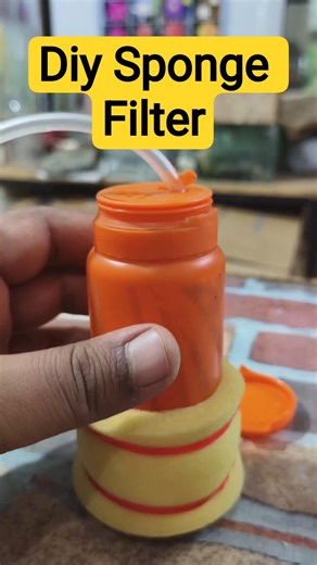 DIY Biological sponge filter #fishkeepinghobby #ytshorts #aquarium #fishaquarium #fishtank