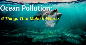 Ocean Pollution - 6 Things That Make It Worse