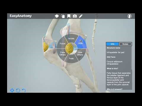 3D Canine Anatomy App for Veterinarians | EasyAnatomy
