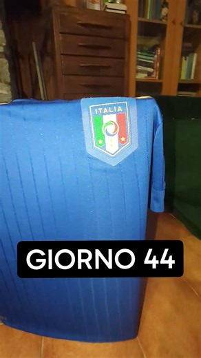 Giorno 44/1529 - Maglia dell'ltalia sul deumidificatore fino a che non andiamo ai Mondiali. 🇮🇹