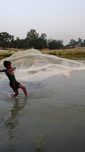 183K views · 901 reactions | Net Fishing in River | Village 74 | Facebook