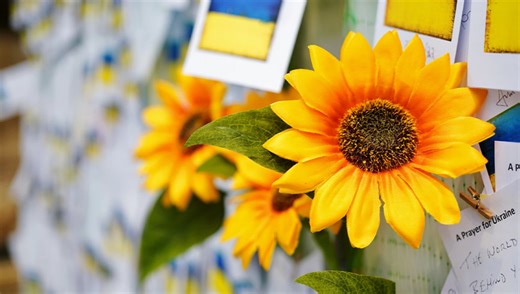 A Review of the Sony FE 40mm f/2.5 G Lens