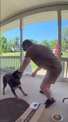 Dog becomes friends with the UPS delivery guy! 🤩❤️ - 🎥 Viralhog