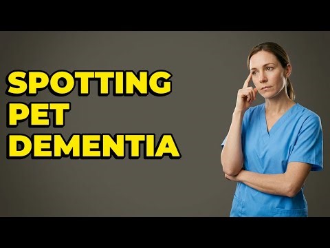 How Do Vets Check For Senior Pet Cognitive Decline?