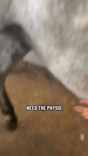 Keeping your horse happy - in vlog form that I know a few of you prefer 🫶🏻 | British Equine Sheath Cleaning