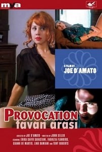 Provocation (1996) - Película Completa