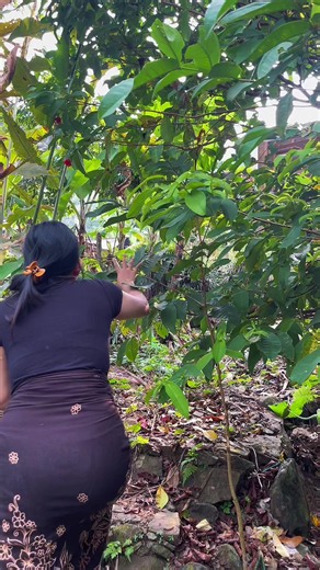 Makan-makan di Cuaca Panas: Tips & Suasana Santai