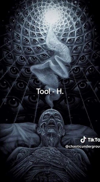 Tool - H. #progressivemetal #metalhead #tool #heavymetal #rock #alternativemetal #alternative
