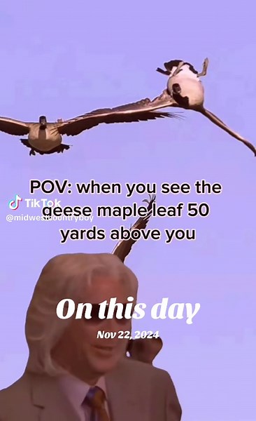 On This Day: November 22, 2024, Unforgettable Moments