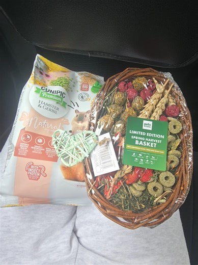 The Joy of Shopping for Pets: A Mom's Perspective