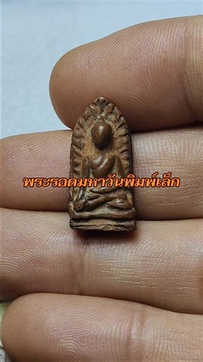 พระรอดมหาวันพิมพ์เล็กกรุวัดมหาวันจังหวัดลำพูน#พระเครื่อง #พระเครื่องไทย #พระรอด