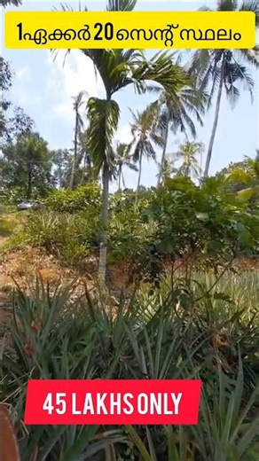 വെറും 45 ലക്ഷം രൂപ മുതൽ മുടക്കിൽ 1 ഏക്കർ 20 സെന്റ് സ്ഥലം വാങ്ങാം. #landforsale