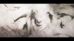 #Pashmina has a rich history of patrons going back 600-700 years, from #European brides to the Mughal royalty. Each piece of clothing is a priceless family heirloom. Renowned globally for its #luxury and elegance, Pashmina is now evolving into a modern #fashion statement. Watch "Threads of Tradition: Pashmina – Timeless Luxury" only on News9 Plus: https://news9plus.com/shortvideo/pashmina-timeless-luxury #ott #News9Plus | NEWS9