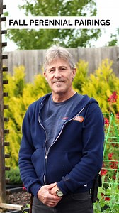 🍂 Perfect Fall Perennial Pairings! Mike’s sharing his go-to combos for stunning fall colour and long-lasting blooms. ✨ Comment FALL and share this post and we’ll send you: 🌸 The full list of perennial pairings and their zones Get ready to plan your fall garden like a pro 🌿 #FallGardening #Perennials #GardenTips #BCGardeners #LowerMainlandGardening #PittMeadowsGardenCentre #FallPlanting #GardeningCanada #GardenCentre #PlantLoversr | Amsterdam Garden Centre