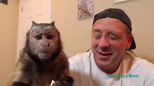 Monkey Eats Finger Licking Good Chips! CRUNCH!