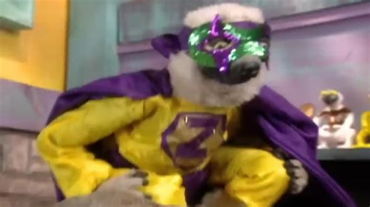 【Zoboomafoo/渣翻】212_超级狐猴