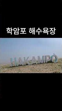 【4K】해무 낀 학암포 해수욕장 🌫 안개 속 신비로운 서해 바다 | 충남 태안 힐링 영상