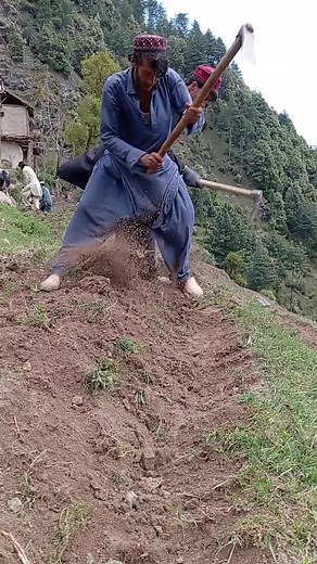 Traditional Farming Techniques in Rural Settings
