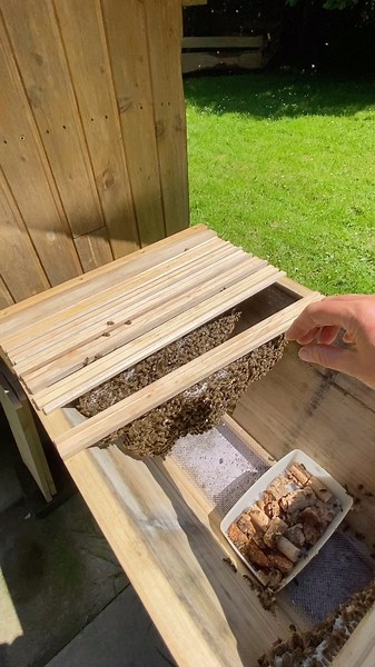 Undine Westphal | The Top Bar Hive🐝🐝🐝Ein Blick in die Top Bar Hive🔎🐝🐝🐝🐝#bees #bienen #topbarhive #beehive #bienen #home #zuhause #tinyhouse #bestoftheday... | Instagram