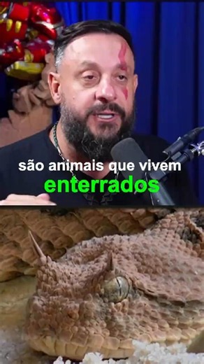 Por que as cobras são surdas? | Biólogo Henrique