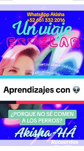 #ovni #et #extraterrestres HERMANOS #estelares APRENDIZAJE con los seres de las estrellas #familiaestelar ¿te ha pasado? Cuéntame, te leo. NOS AMO💖 GRANDIOSACOMOTU💖 | Akisha Grandiosa