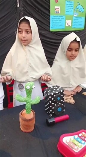 Ayesha performance at school