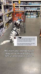 4.6K views · 810 reactions | I’ve seen a few versions of this comment...