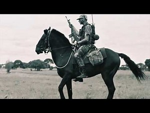 Rhodesian Bush War - In the Name of Grey