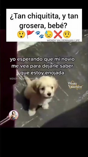 😒🚩Soy resentida 🐾😌#amor #love #pets #doglover #perros #god #dios #dog #pet #fypシ #fypシ゚viral