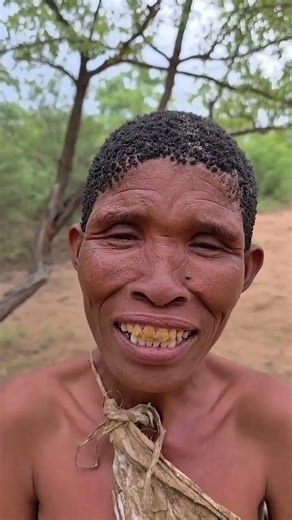 “A Tree Worth More Than Wood”“When Humanity Stopped the Machine”