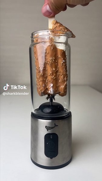 Sesame Ice Cream vs Blender: A Surprising Taste Test