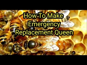 How To Make Emergency Replacement Queen