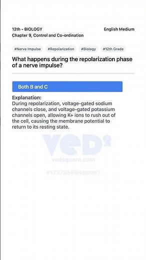 Nerve Impulse Repolarization Phase Explained 12th Biology