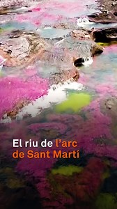Diuen que és el més bonic del món. Se’l coneix com el riu dels déus o de l’arc de Sant Martí, perquè les seves aigües cristal·lines poden mostrar fins a sis colors diferents: vermell, groc, verd, negre, blau i rosa. Les plantes aquàtiques que hi ha al fons del riu són les que creen aquest efecte. L’exposició a la llum del sol fa que canviïn de color, del verd a un vermell més intens. El color vermell, el dona l’espècie “Macarenia clavígera”, de la família “Podostemaceae”. Aquest és l’únic lloc d