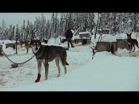 Portugal. The Man - Mush