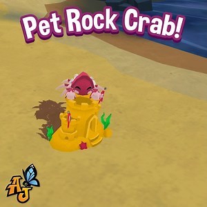 Pet rock crabs have scuttled into the Animal Jam Sapphire Shop! Once you've adopted one, pick up some pet toys to keep the fun going inside your den! #AnimalJam | Animal Jam