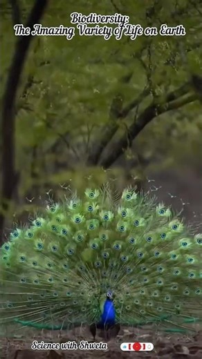 Biodiversity – Nature’s Hidden Treasure! 🌿